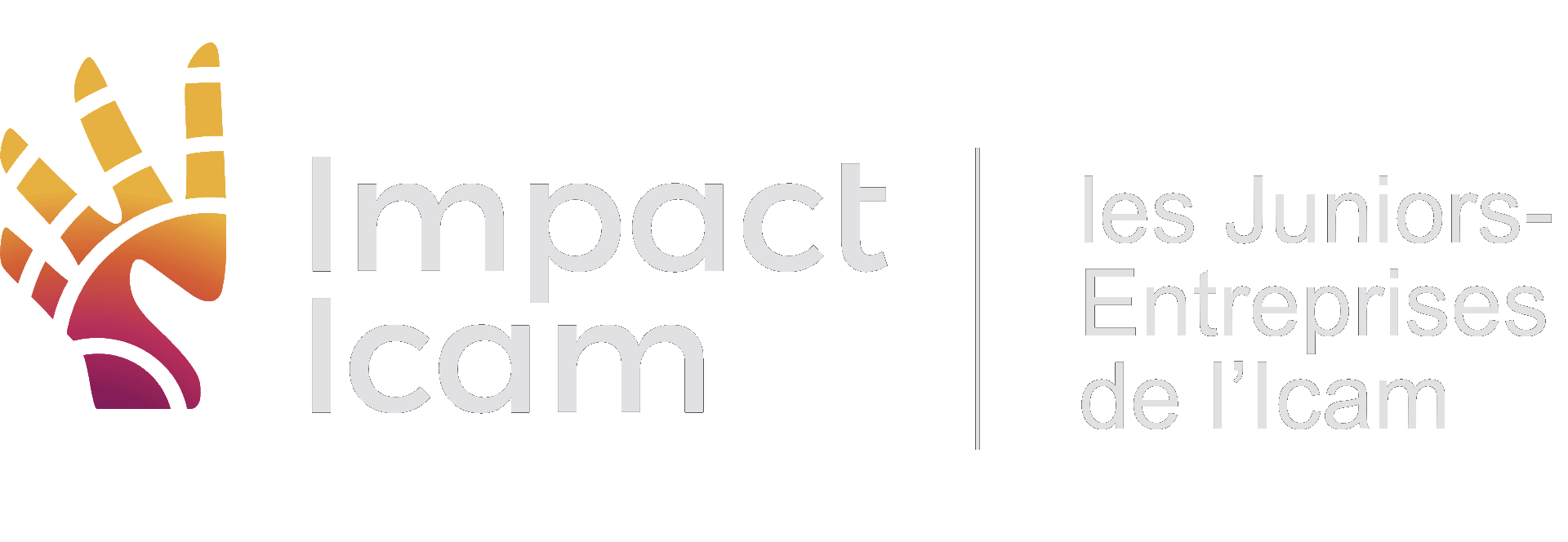 Impact Icam
